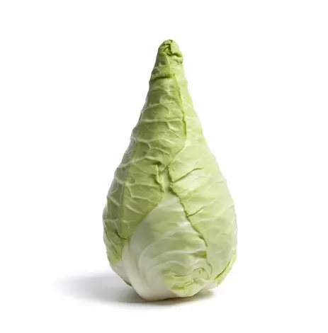 Cabbage Pointed Piece