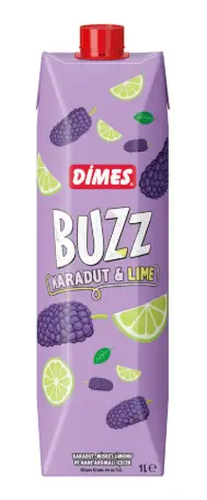 Dimes Buzz Getränk mit Schwarzer Maulbeere, Zitrone & Minze 1000 ml