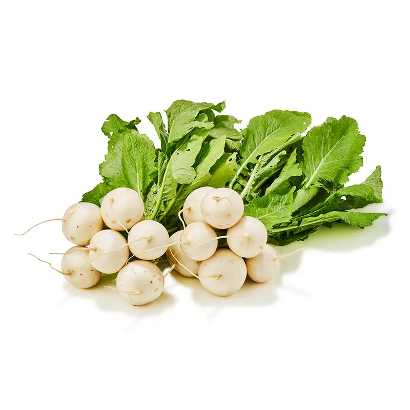 Mairübchen