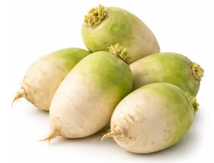 Radish White