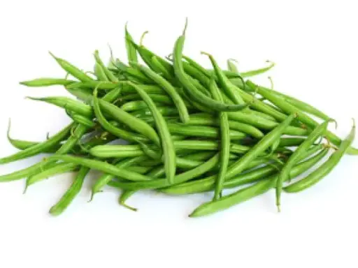 [GSAL102113439] Beans Fresh Green