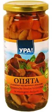 [GSAL1012101640] Ura Sarımsaklı Tuzlu Salamurada Mantar Turşusu 500 ml