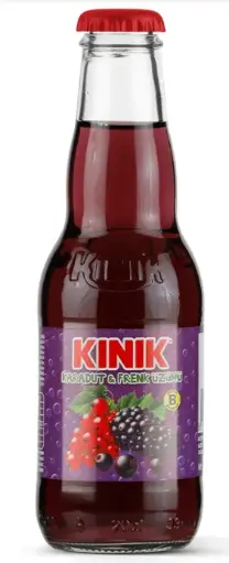 [GSAL101310583] Kınık Brombeere–Schwarze Johannisbeere Mineralwasser 200 ml