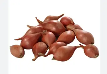 [GSAL102113450] Soğan Arpacık