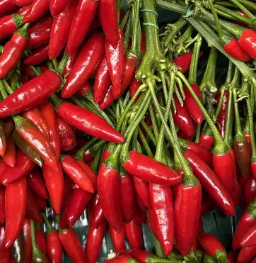 [GSAL102113452] Peppers Haberno Red Chili Bunch