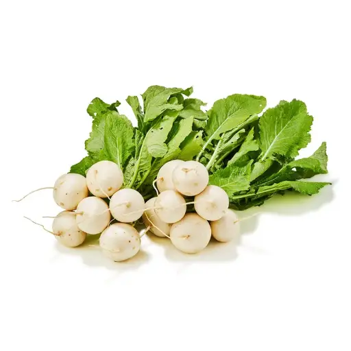 [GSAL102113454] Turnip White