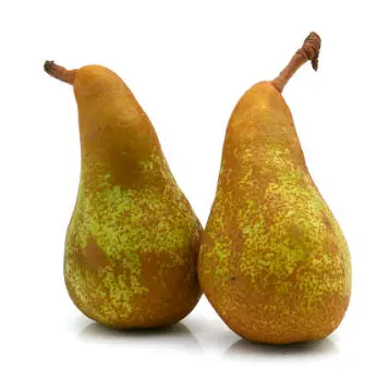 [GSAL102111290] Pear Conference