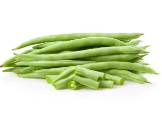 [GSAL102113413] Bean Fresh Green